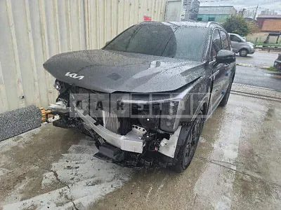 2024 Sorento Sorento hybrid