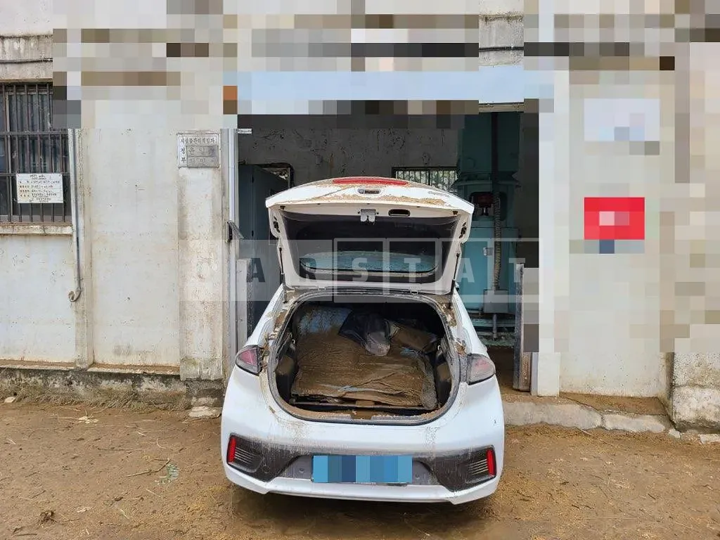 Photo 3 of 3: 2020 Hyundai IONIQ Electric, VIN KMHC051JFLU074463 — Korean insurance auction