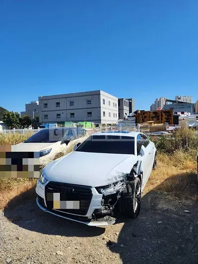 Photo 1 of 13: 2016 Audi A7 50 TDI, VIN WAUZZZ4G9GN149462 — Korean insurance auction