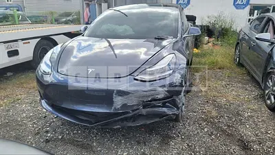 Photo 1 of 20: 2020 Tesla Model 3 Long Range, VIN 5YJ3E1EB9LF725407 — Korean insurance auction