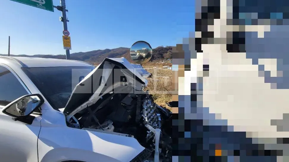 Photo 2 of 5: 2019 Hyundai Palisade — Korean insurance auction