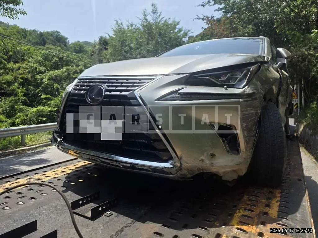 Photo 2 of 16: 2020 Lexus NX300h — Korean insurance auction