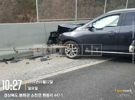 Photo 2 of 5: 2019 Kia Sorento — Korean insurance auction