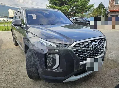 Photo 1 of 16: 2019 Hyundai Palisade 2.2 (4WD) — Korean insurance auction