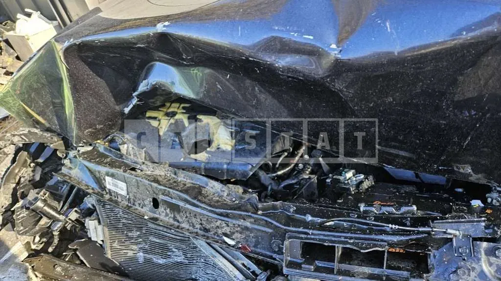 Photo 2 of 8: 2019 Kia Carnival — Korean insurance auction