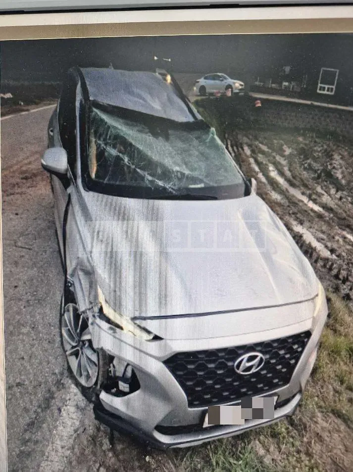 Photo 2 of 5: 2019 Hyundai Santa Fe TM 4WD — Korean insurance auction