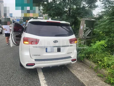 Photo 1 of 9: 2019 Kia Carnivals — Korean insurance auction
