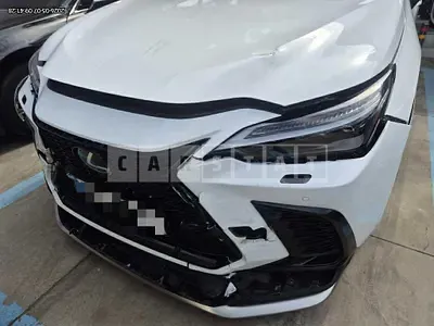2024 Lexus NX450h+