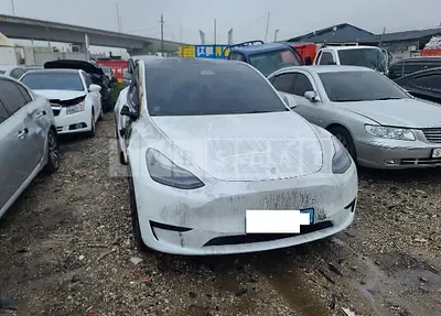 Photo 1 of 10: 2024 Tesla Model Y RWD — Korean insurance auction