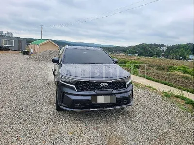 Photo 1 of 23: 2020 Kia Sorento 1.6 — Korean insurance auction