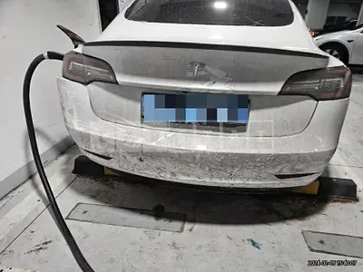 Photo 1 of 55: 2020 Tesla Model 3 Standard Range Plus R — Korean insurance auction