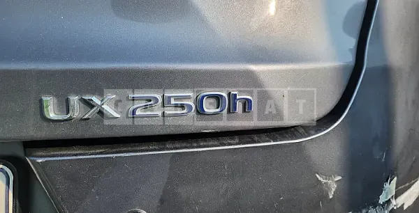 Photo 2 of 30: 2019 Lexus UX250h AWD, VIN JTHU9JBH4K2002923 — Korean insurance auction
