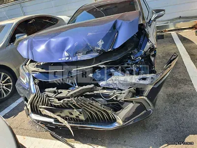 Photo 1 of 17: 2021 Lexus ES300h, VIN JTHBA1C12M2002339 — Korean insurance auction