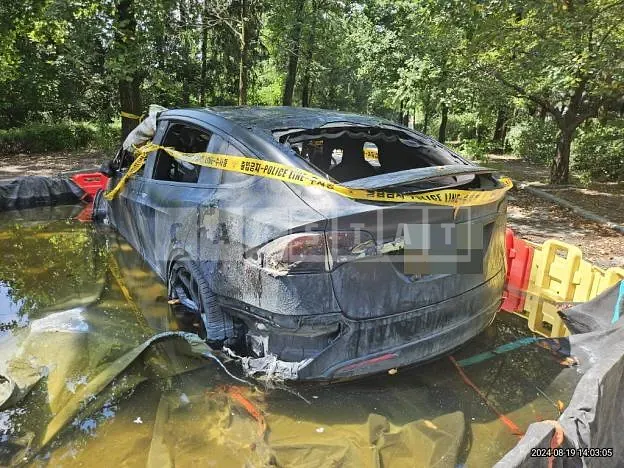 Photo 2 of 9: 2018 Tesla Model X 100d — Korean insurance auction