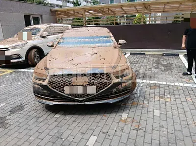 Photo 1 of 17: 2019 Genesis G90 — Korean insurance auction