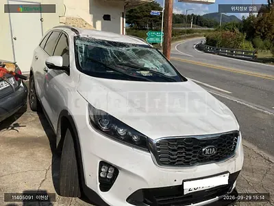 2019 Sorento Sorento