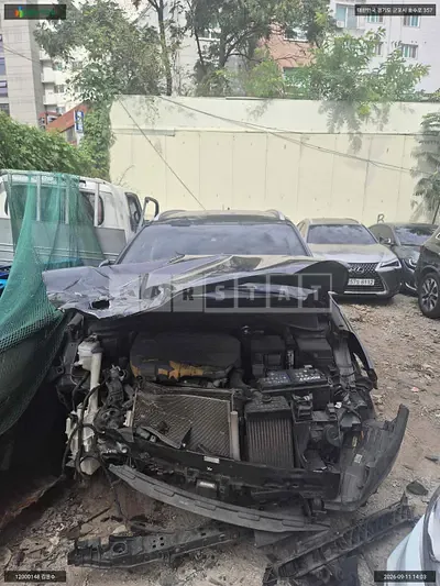 2019 Sorento Sorento
