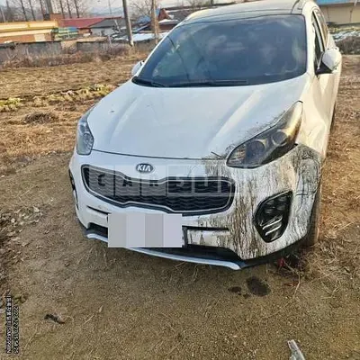 Photo 1 of 13: 2016 Kia Sportage 2.0, VIN KNAPR813BGK032942 — Korean insurance auction
