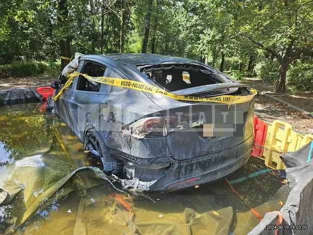 Photo 2 of 9: 2018 Tesla Model X 100d — Korean insurance auction