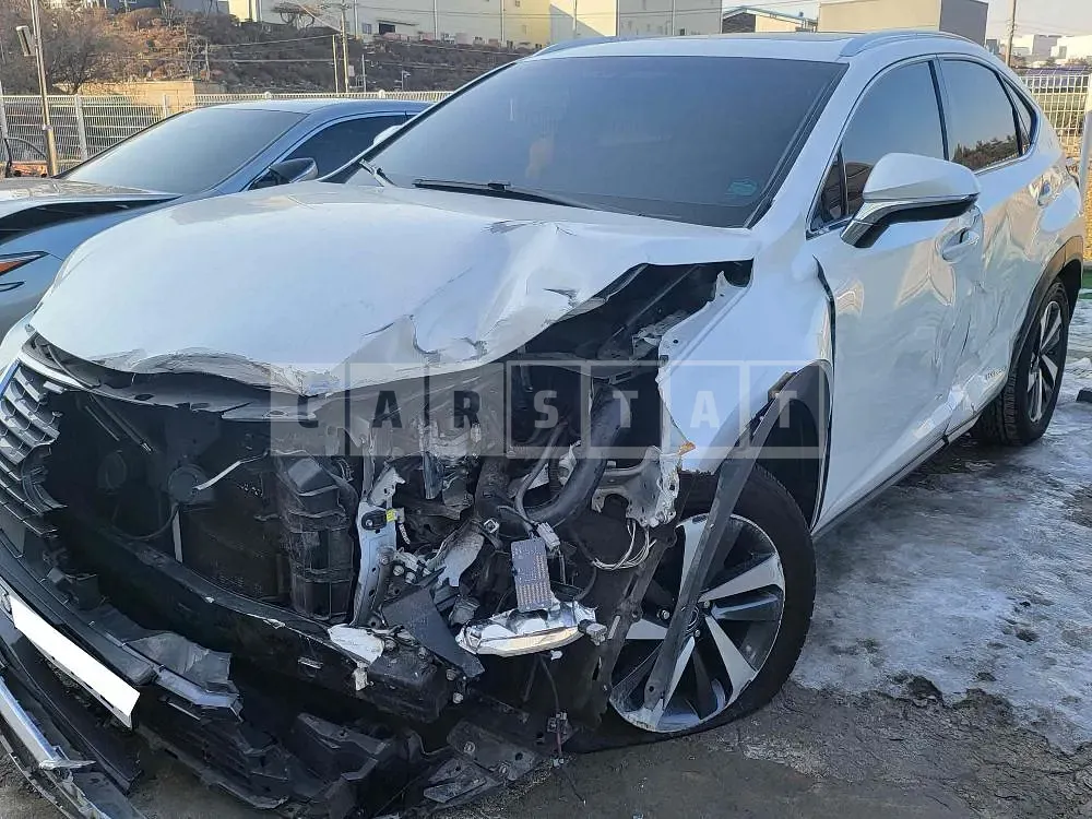Photo 2 of 15: 2018 Lexus NX300h, VIN JTJBJRBZ3J2086770 — Korean insurance auction