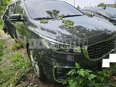 Photo 1 of 17: 2019 Kia Carnival — Korean insurance auction
