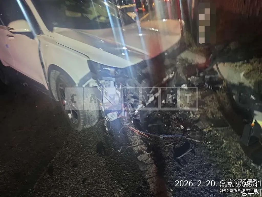 Photo 2 of 3: 2019 Hyundai Santa Fe TM Gasoline — Korean insurance auction