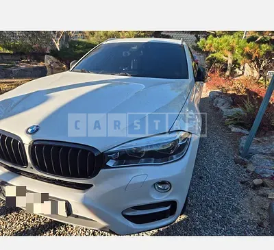 Photo 1 of 38: 2016 BMW X6 xDrive30d — Korean insurance auction
