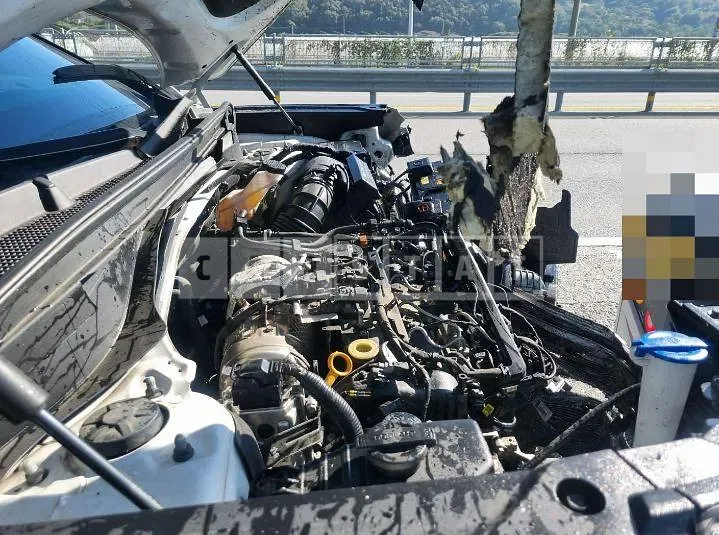 Photo 2 of 23: 2020 Hyundai Palisade 2.2 — Korean insurance auction