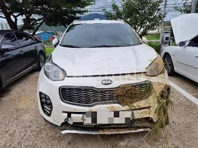 Photo 1 of 18: 2015 Kia Sportage 2.0 — Korean insurance auction