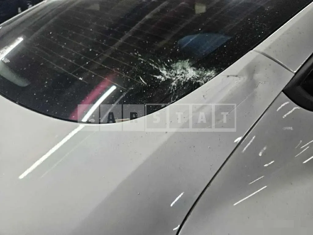 Photo 2 of 9: 2021 Tesla (parts) Model 3 Long Range Trunk — Korean insurance auction