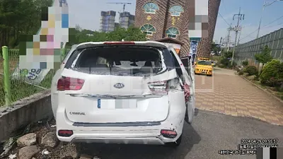 Photo 1 of 12: 2019 Kia Carnivals — Korean insurance auction