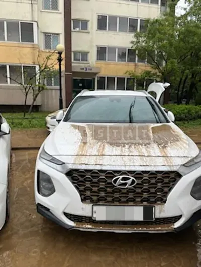 Photo 1 of 4: 2019 Hyundai Calm Santa Fe 2.0T — Korean insurance auction