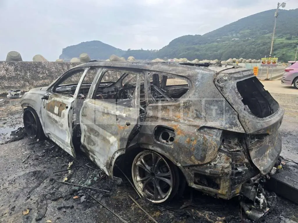 Photo 2 of 5: 2019 Hyundai Santa Fe TM — Korean insurance auction