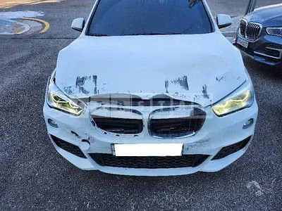2017 BMW X1 xDrive 20d