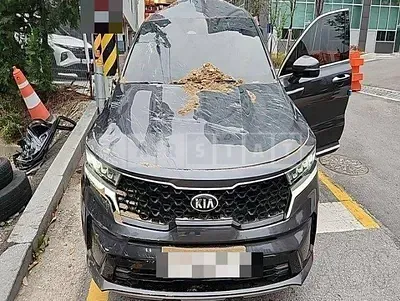 Photo 1 of 44: 2020 Kia Sorento 2.2, VIN KNARF81BGMA021033 — Korean insurance auction