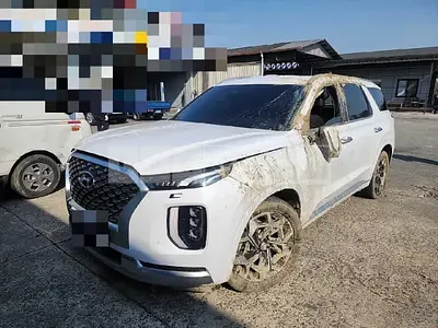 Photo 1 of 42: 2020 Hyundai Palisade 2.2 — Korean insurance auction