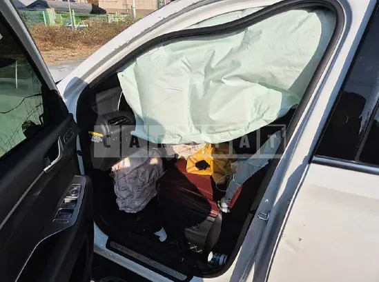 Photo 2 of 24: 2019 Hyundai Palisade — Korean insurance auction