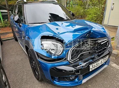 2020 BMW MINI Cooper S Countryman ALL4(18)