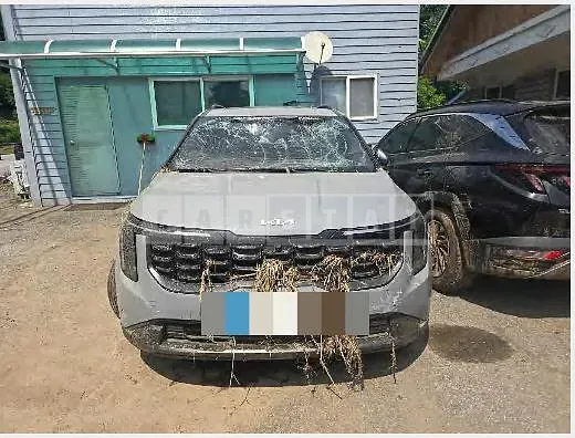 Photo 2 of 19: 2024 Kia Carnival Hybrid — Korean insurance auction