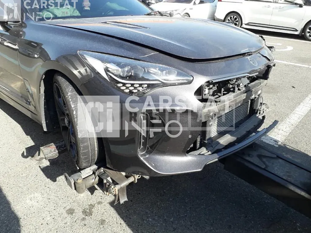 Photo 2 of 50: 2019 Kia Stinger 3.3 GT AWD — Korean insurance auction