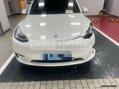 Photo 1 of 19: 2021 Tesla Model Y Long Range — Korean insurance auction