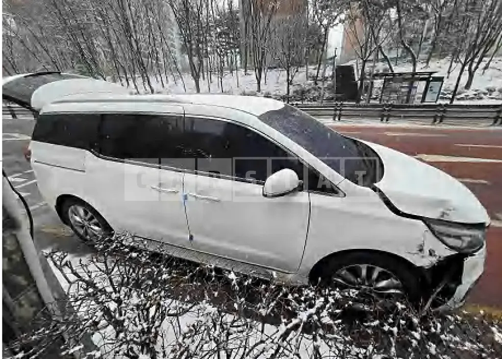 Photo 2 of 22: 2016 Kia Carnival Limousine — Korean insurance auction