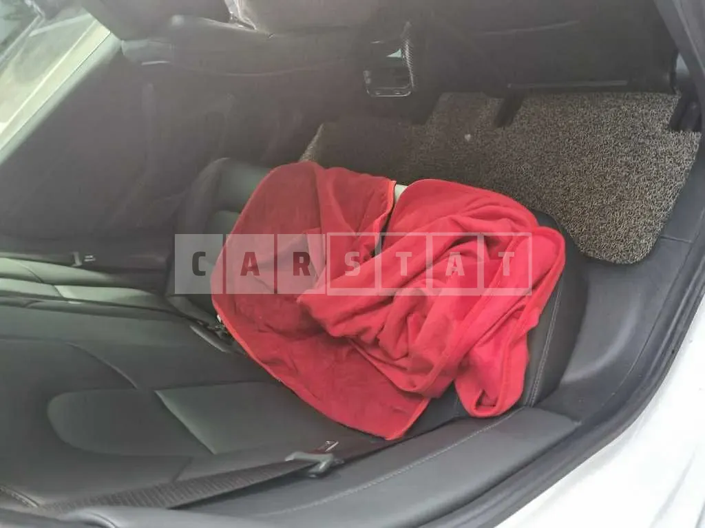 Photo 2 of 14: 2020 Tesla Model 3 Standard Range Plus RWD — Korean insurance auction