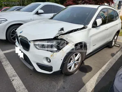 Photo 1 of 25: 2017 BMW X1 xDrive 18d, VIN WBAHT9101H5J03856 — Korean insurance auction