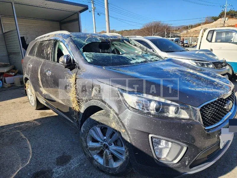 Photo 2 of 22: 2017 Kia Sorento — Korean insurance auction