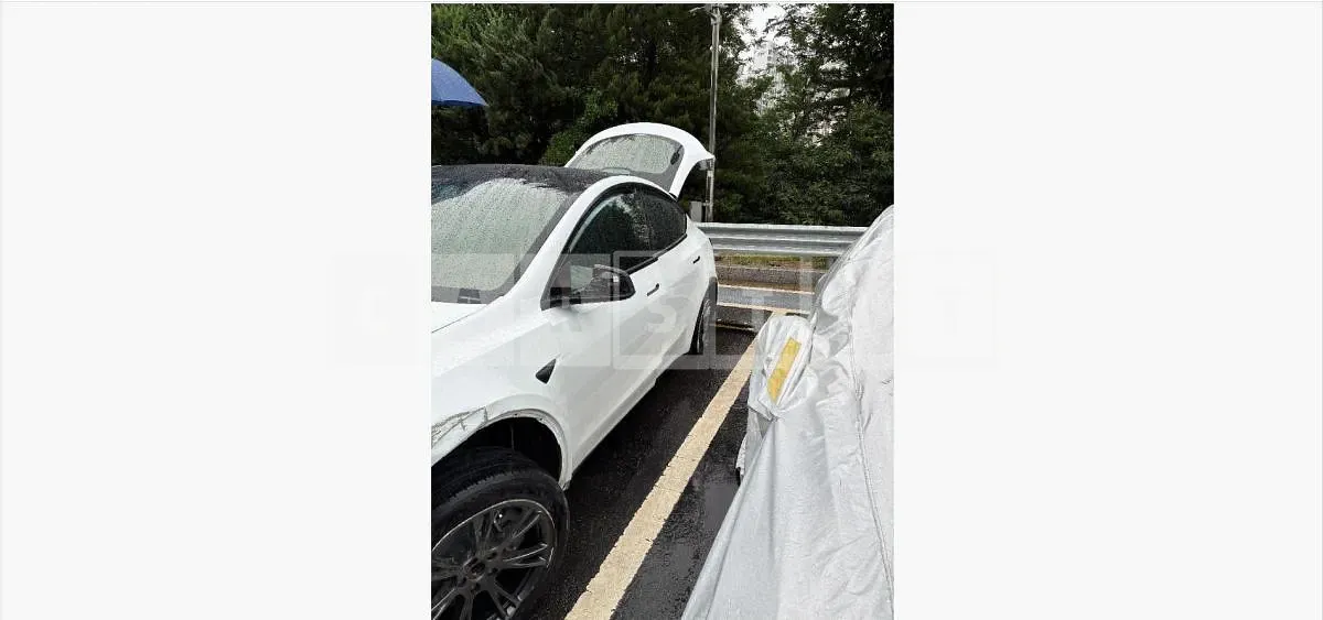 Photo 2 of 19: 2024 Tesla Model Y RWD — Korean insurance auction