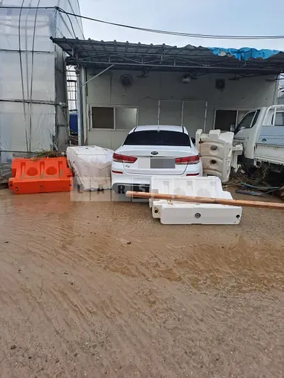 Photo 1 of 3: 2019 Kia K5 2.0(LPG), VIN KNAGT416BLA381437 — Korean insurance auction