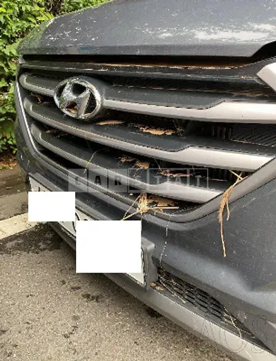 Photo 1 of 16: 2017 Hyundai Tucson, VIN KMHJ381ABHU305629 — Korean insurance auction