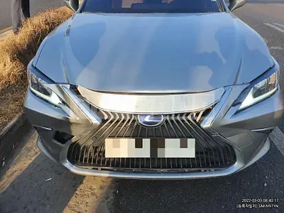 Photo 1 of 9: 2019 Lexus ES300h, VIN JTHB21B10K2060073 — Korean insurance auction