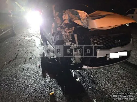 Photo 2 of 13: 2019 Kia Sorento — Korean insurance auction